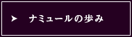 ナミュールの歩み